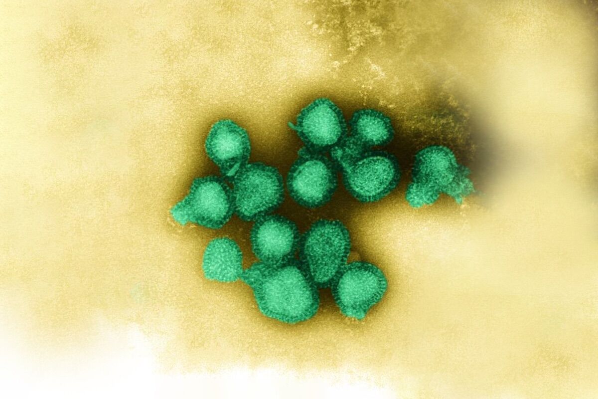 What makes the K subclade different? Here’s what you need to know about the “superflu”