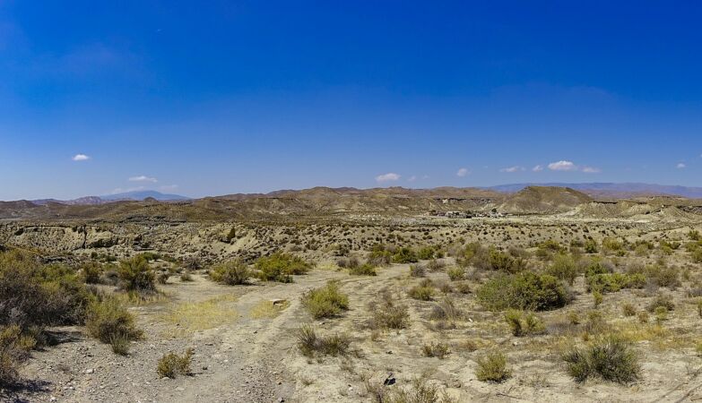 “Addicted to water”: more than 40% of Spain at risk of desertification