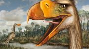 Giant “terror bird” couldn’t fly, but haunted an entire continent millions of years ago