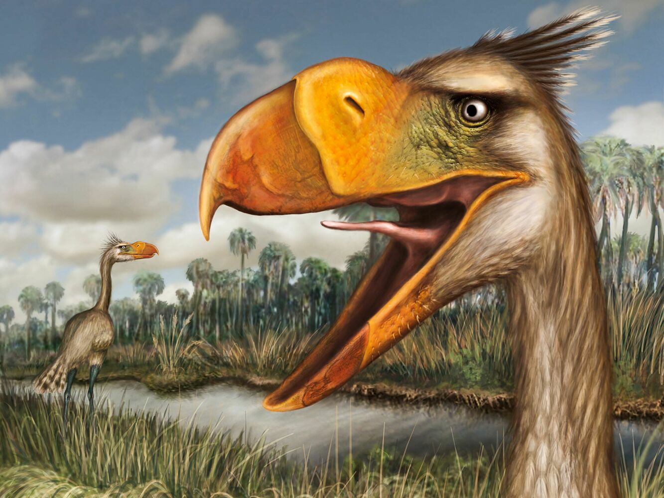 Giant “terror bird” couldn’t fly, but haunted an entire continent millions of years ago