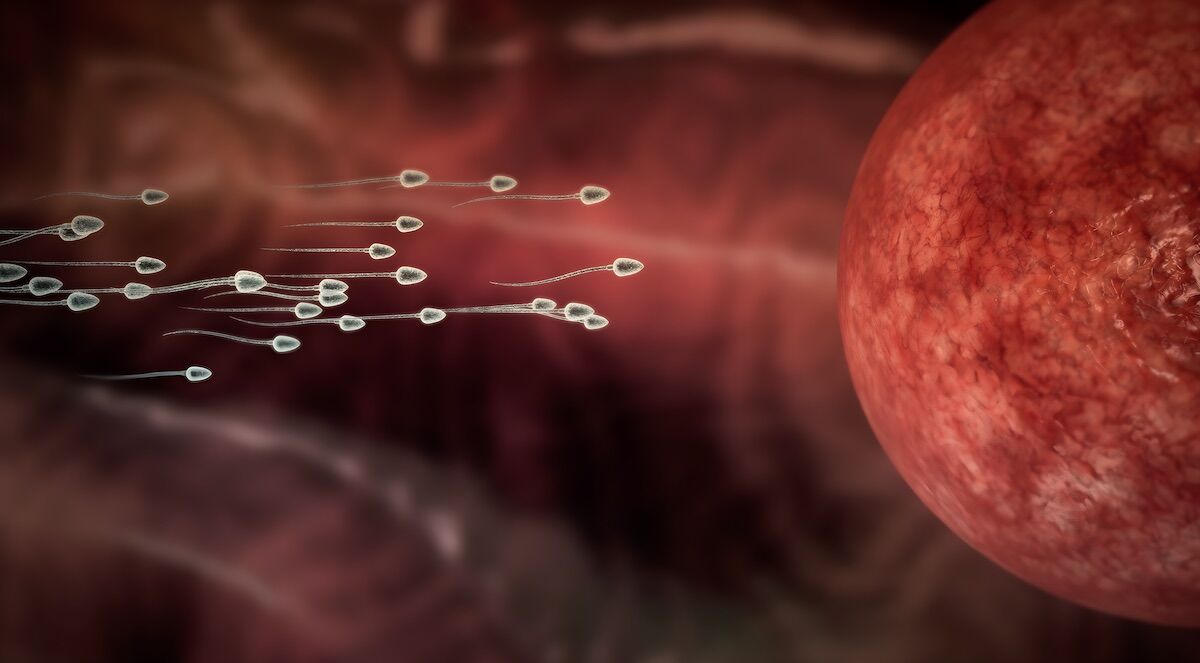 Sperm donor spread rare cancer-causing gene to 197 children in Europe