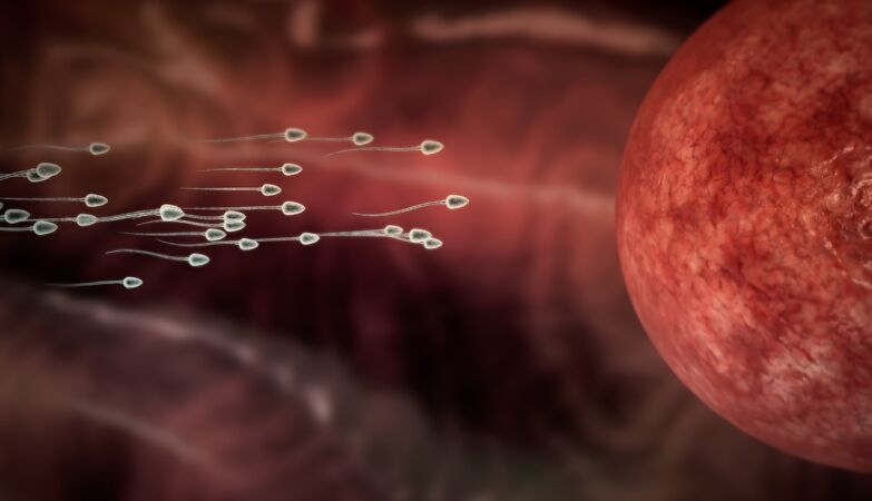 Sperm donor spread rare cancer-causing gene to 197 children in Europe