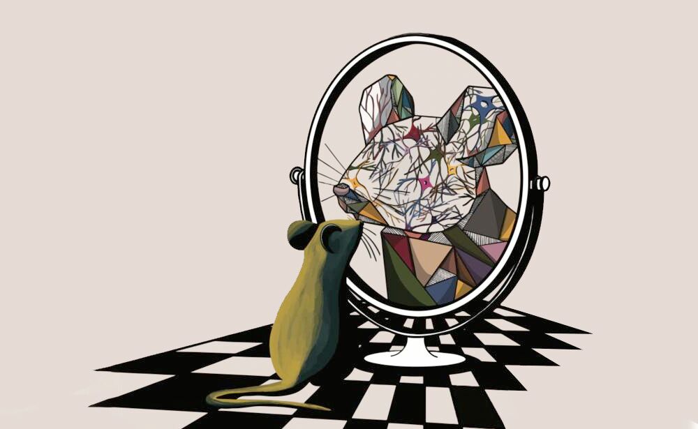 Scientists read the “thoughts” of mice in their facial expressions