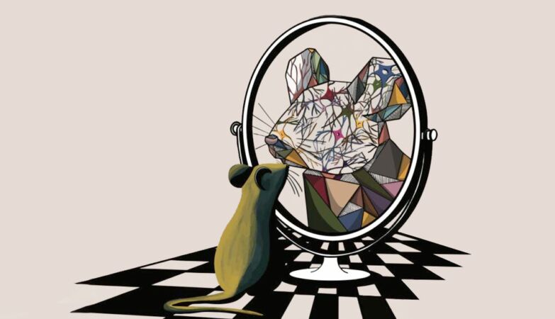 Scientists read the “thoughts” of mice in their facial expressions