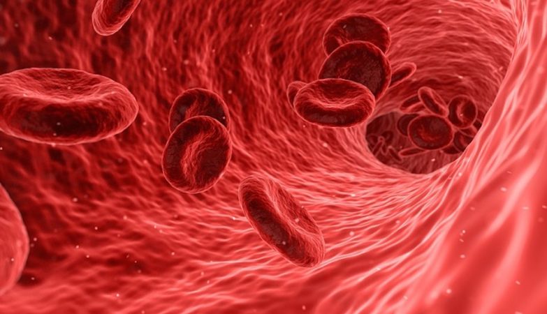 Blood test could reveal the likelihood of dying in the next decade