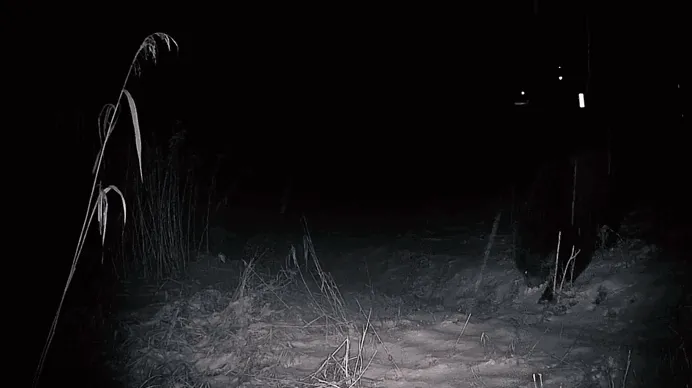 These bears and these humans cannot coexist. And things are getting deadly