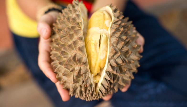 The world's smelliest fruit is crazy in China — and a diplomatic weapon