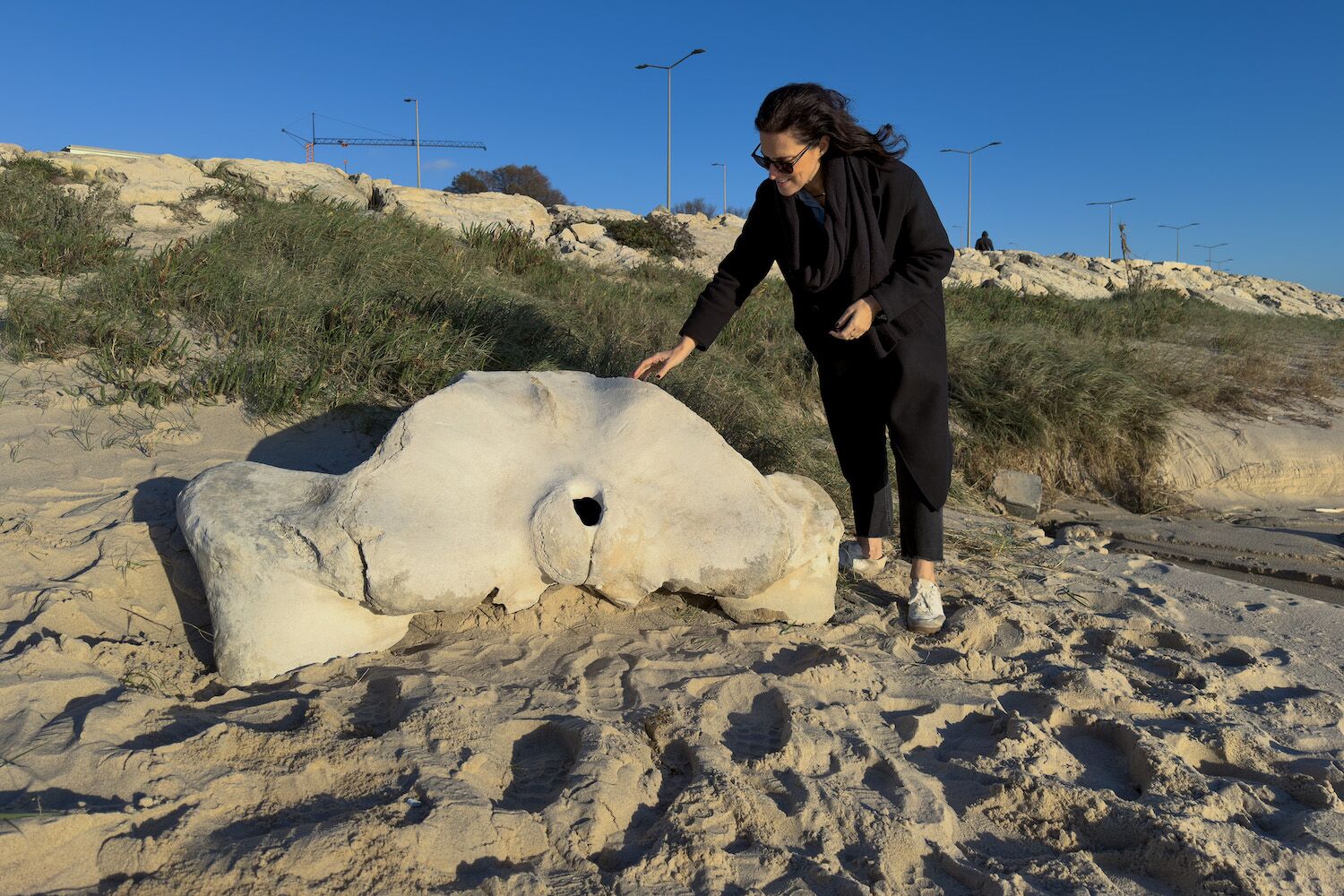 “I was walking with my nephew and…”. Ancient whale bone washed ashore in Figueira da Foz
