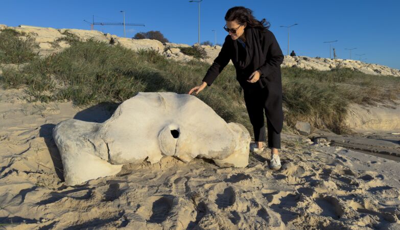 “I was walking with my nephew and…”. Ancient whale bone washed ashore in Figueira da Foz