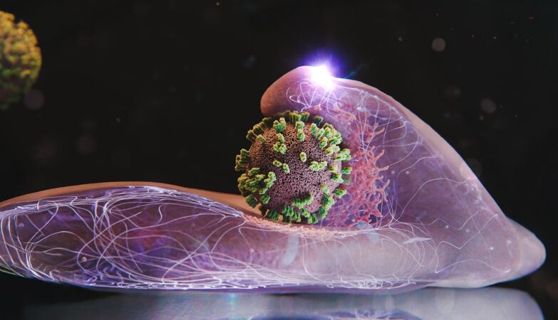 Flu virus caught for the first time in the act infecting a living cell