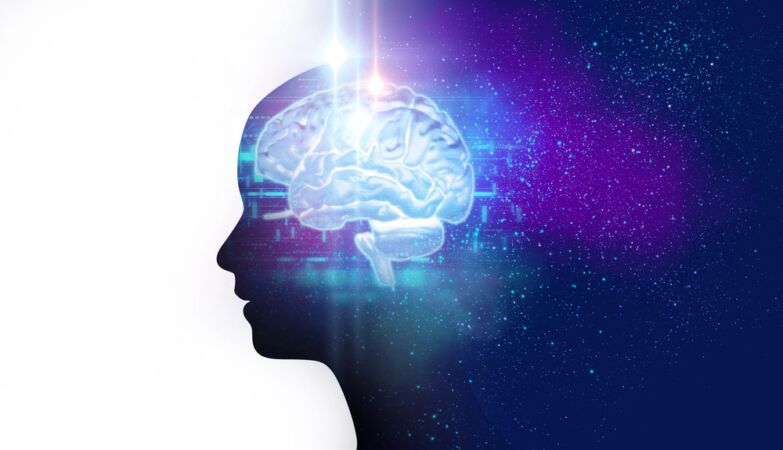 Centaur, the “digital brain”, will be subjected to the most ethically questionable experiments