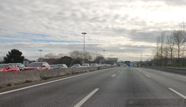 One day we will drive through algae and the roads will heal themselves