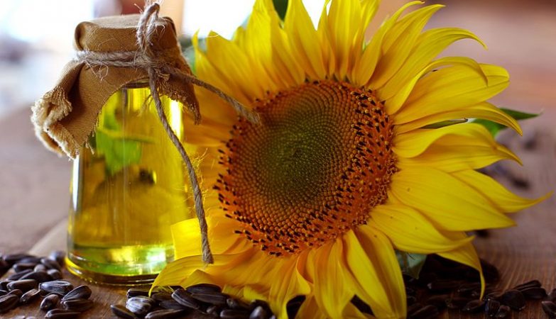 What happens when you try to freeze oil?