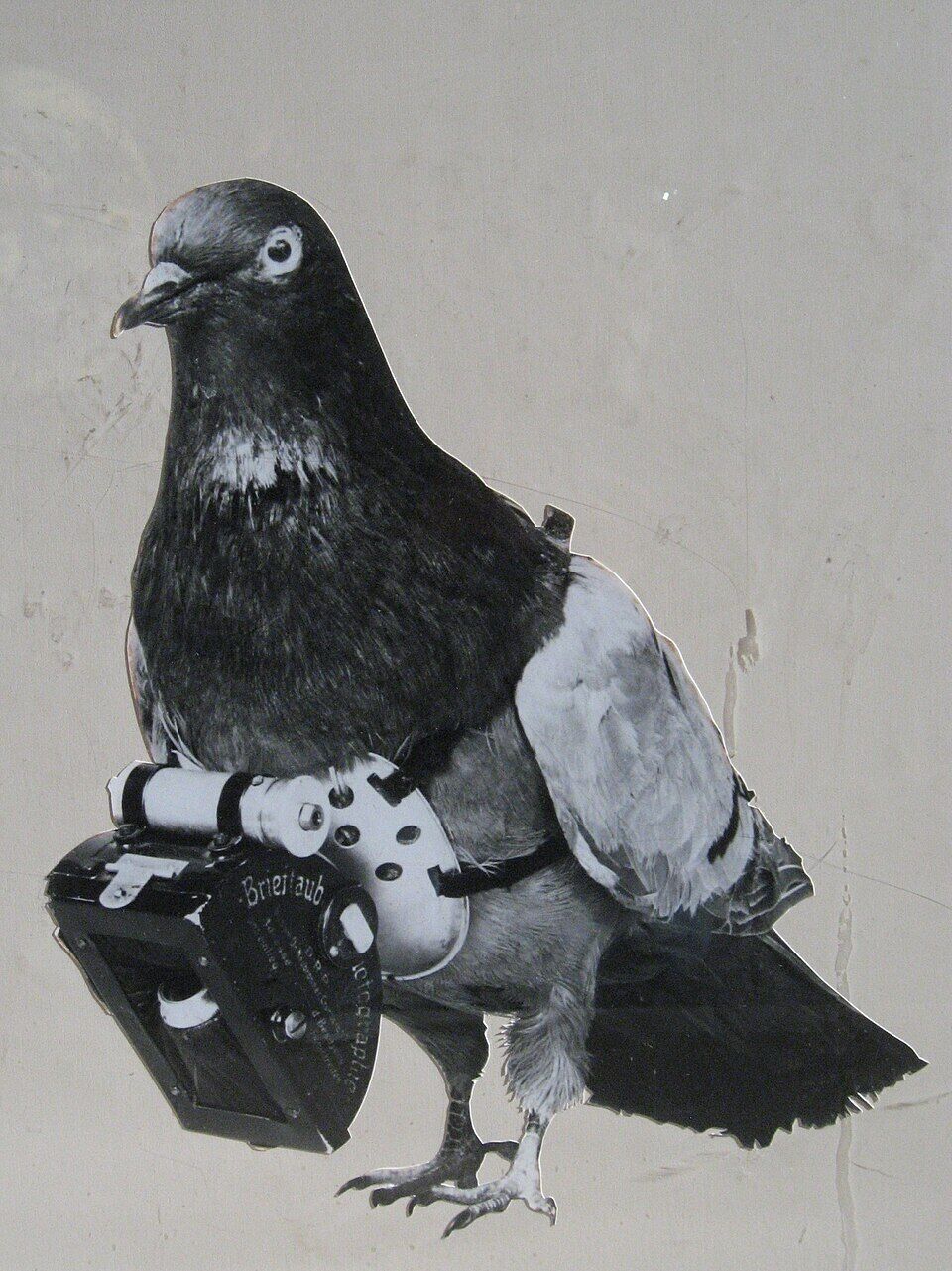 “Pigeons take photographs as they fly.” They were the first “drones”, in 1908