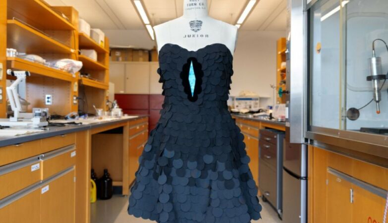 Created the blackest fabric ever. Bird served as inspiration