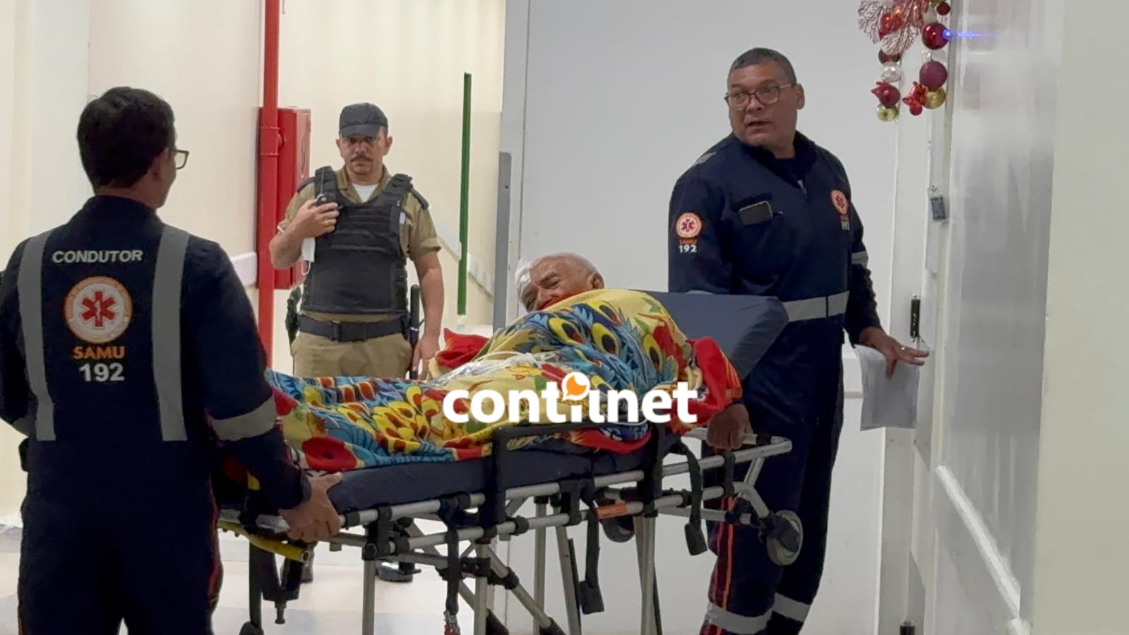 78-year-old man suffers head trauma after chestnut hedgehog falls on his head in the interior of Acre