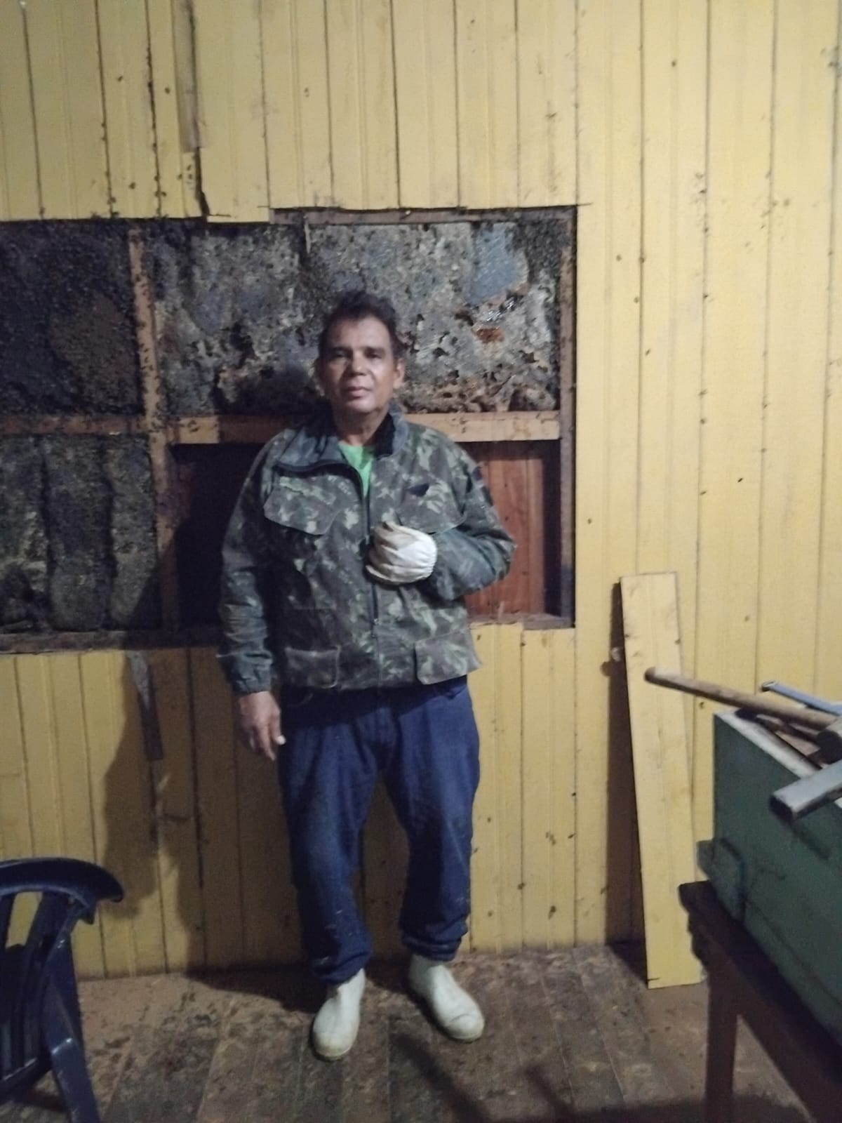 In an operation that lasted 9 hours, beekeeper removes giant swarm and avoids risk to elderly couple in Acre