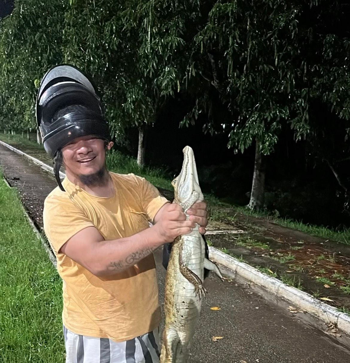 Alligator is spotted on an urban street and rescued in an improvised way by members of the public; watch the video