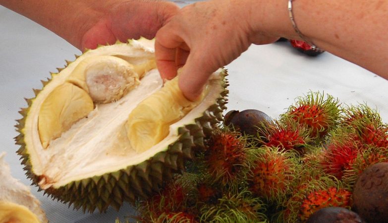The world's smelliest fruit is crazy in China — and a diplomatic weapon