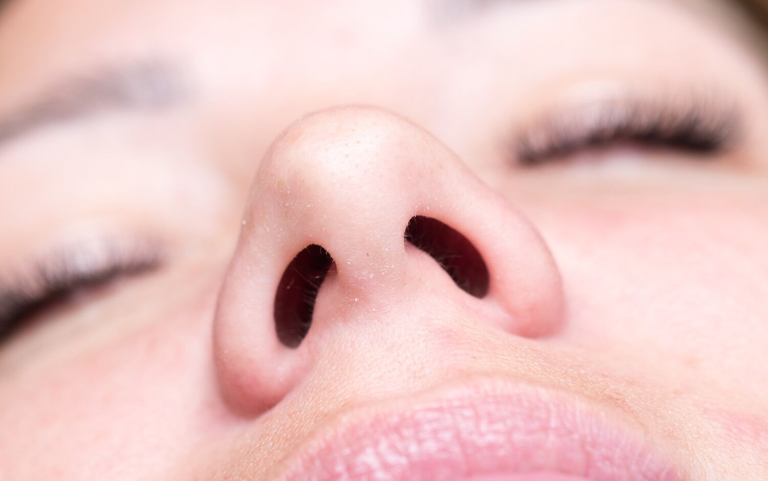 How many orifices does the human body have? According to mathematics, seven (or eight)