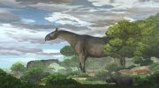 The largest land mammal ever was “sweet”