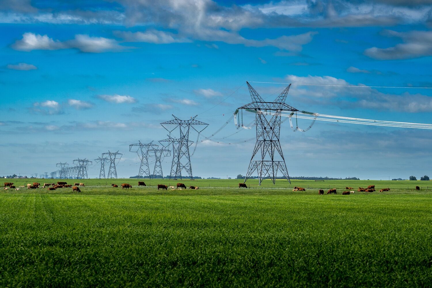 France already generates more electricity than it consumes. Environmentalists smile, economists too