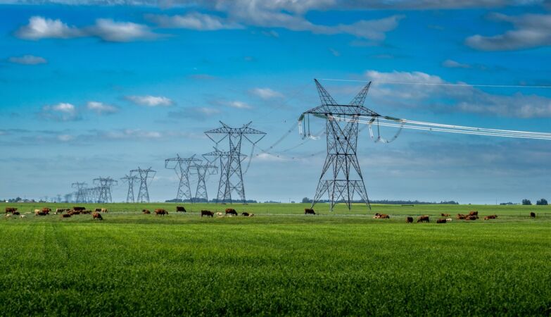 France already generates more electricity than it consumes. Environmentalists smile, economists too