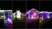 House in Ponte de Lima shines with 68 thousand lights in an initiative that supports abandoned animals