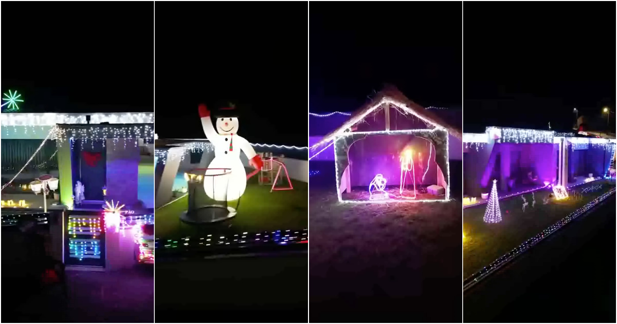 House in Ponte de Lima shines with 68 thousand lights in an initiative that supports abandoned animals