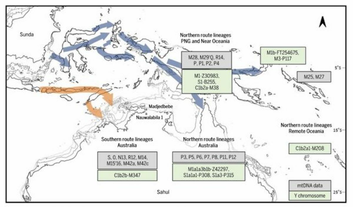 How did humans get to Australia? They turned left… and right