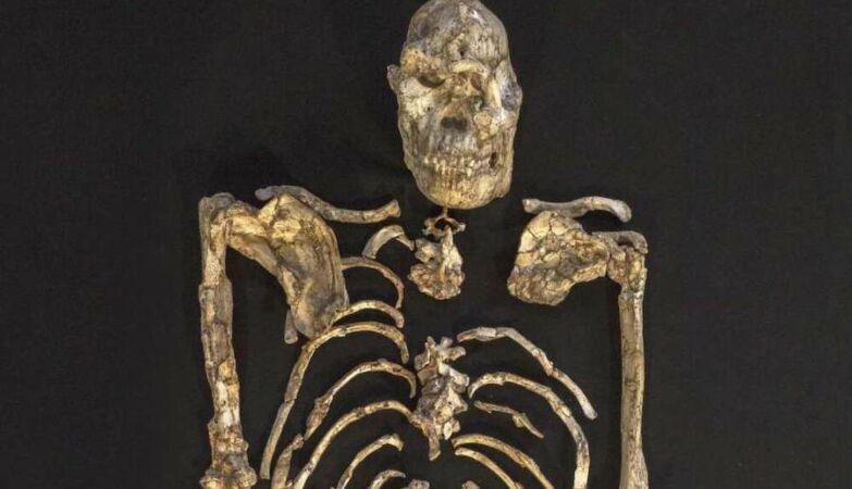 My name is Little Foot — and I may be a new human species