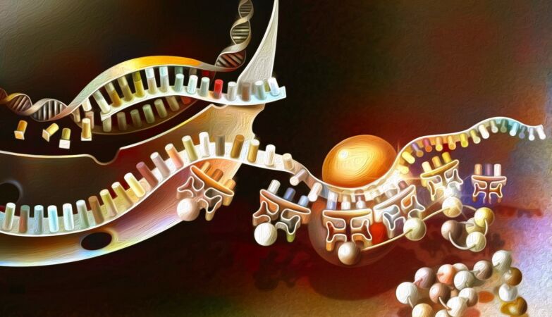 Organism discovered that breaks the golden rule of biology