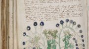 Scientist created a cipher that writes the indecipherable language of the Voynich Manuscript