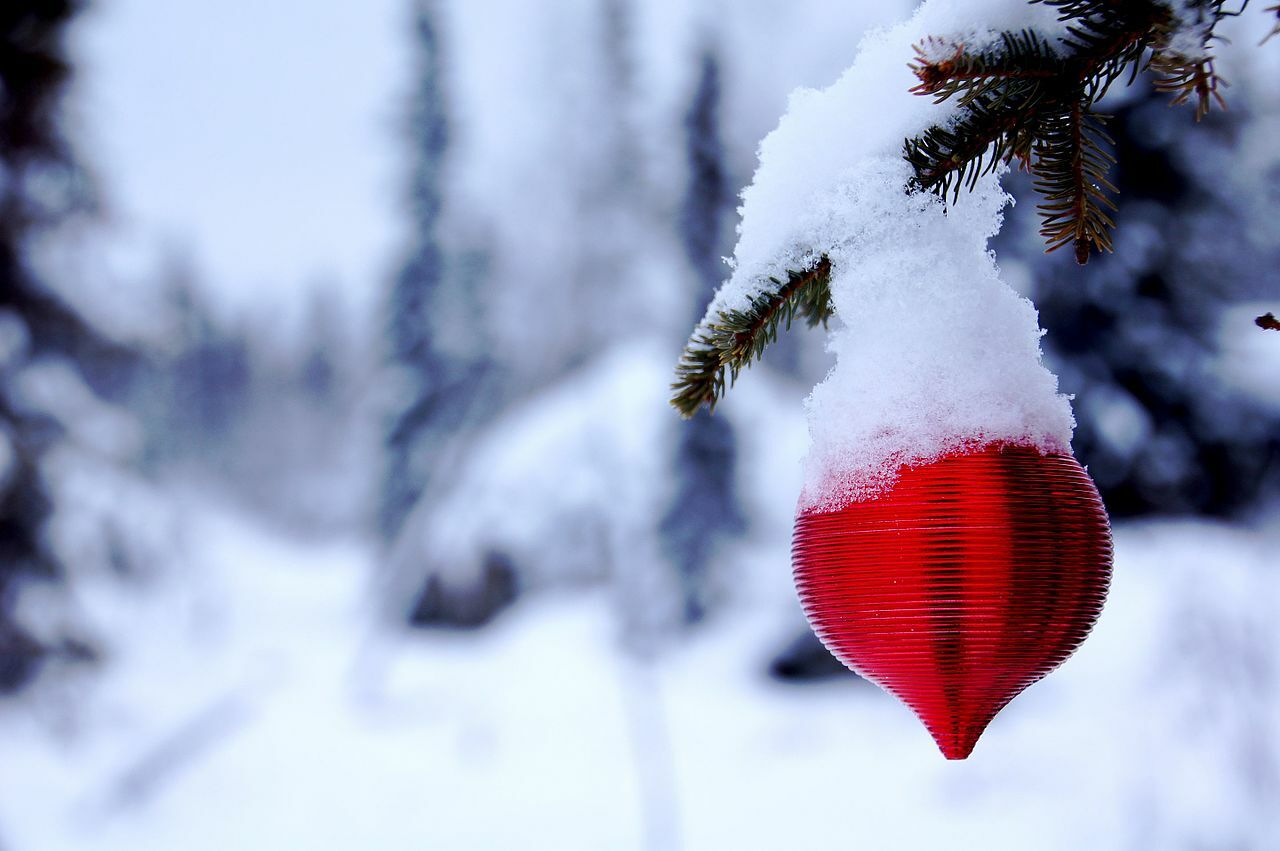 (A lot of) snow falls in Portugal. And what will the weather be like at Christmas?
