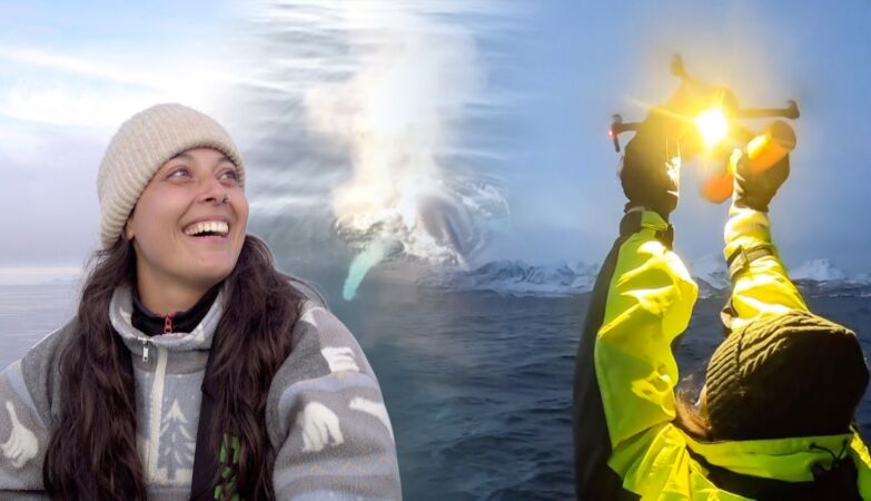 Drones detected deadly virus in whale breath in the Arctic