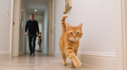 Gato no corredor de casa. Crédito: Freepik AI