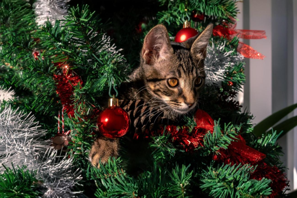 Gato e árvore de natal. Crédito; Freepik