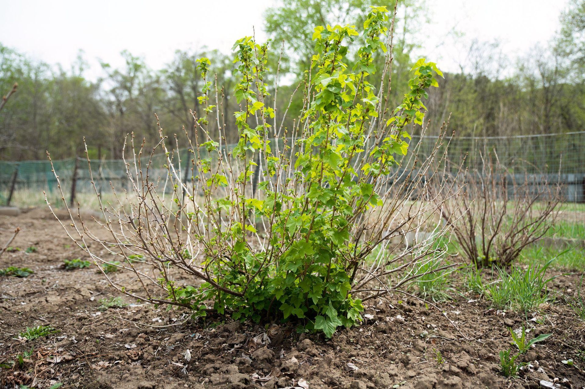 Weather for 2026 We know what spring 2026 will be like. In March, something no one expects will happen. Will winter last like in the Polish People's Republic or will the tropics come in March? IMWM forecasts