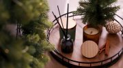 Holiday fresheners Cut, stick and place on a plate in the living room. The Christmas scent will spread to every corner. A scent for your home for the holidays