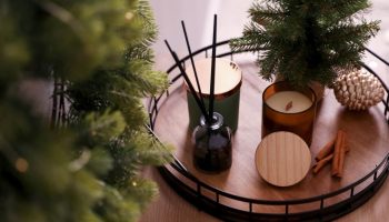 Holiday fresheners Cut, stick and place on a plate in the living room. The Christmas scent will spread to every corner. A scent for your home for the holidays