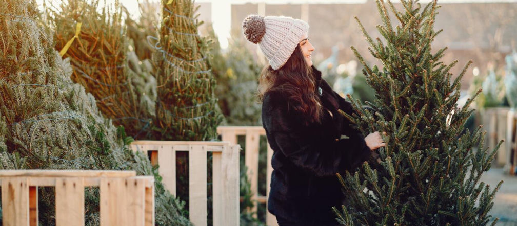 Christmas Instead of buying, rent! Now you can rent a Christmas tree for Christmas