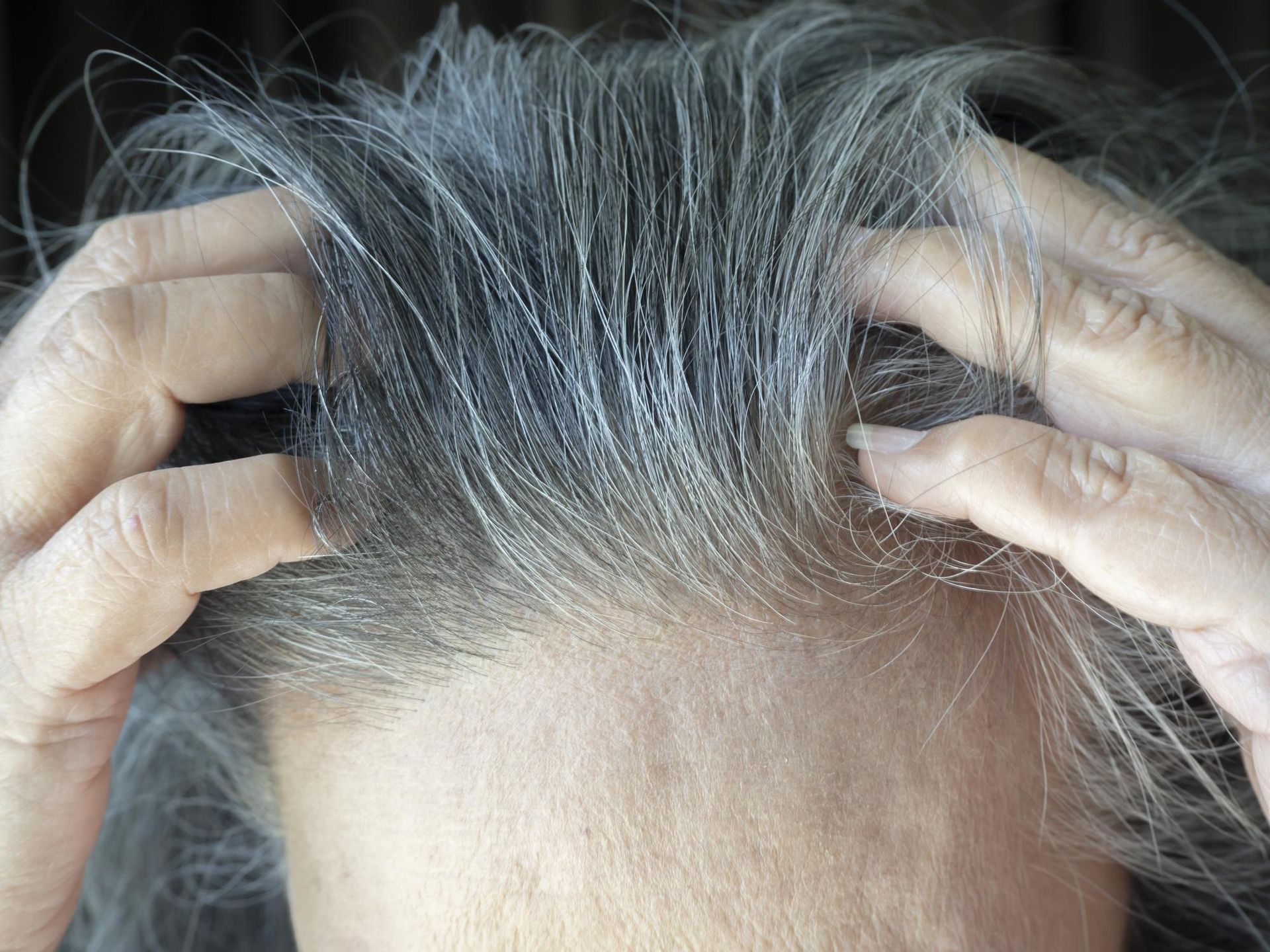 Home care Boil and apply on your head, gray hair will disappear in 10 minutes. The gray will be covered with a vivid and shiny color. A way to deal with gray hair without dyeing