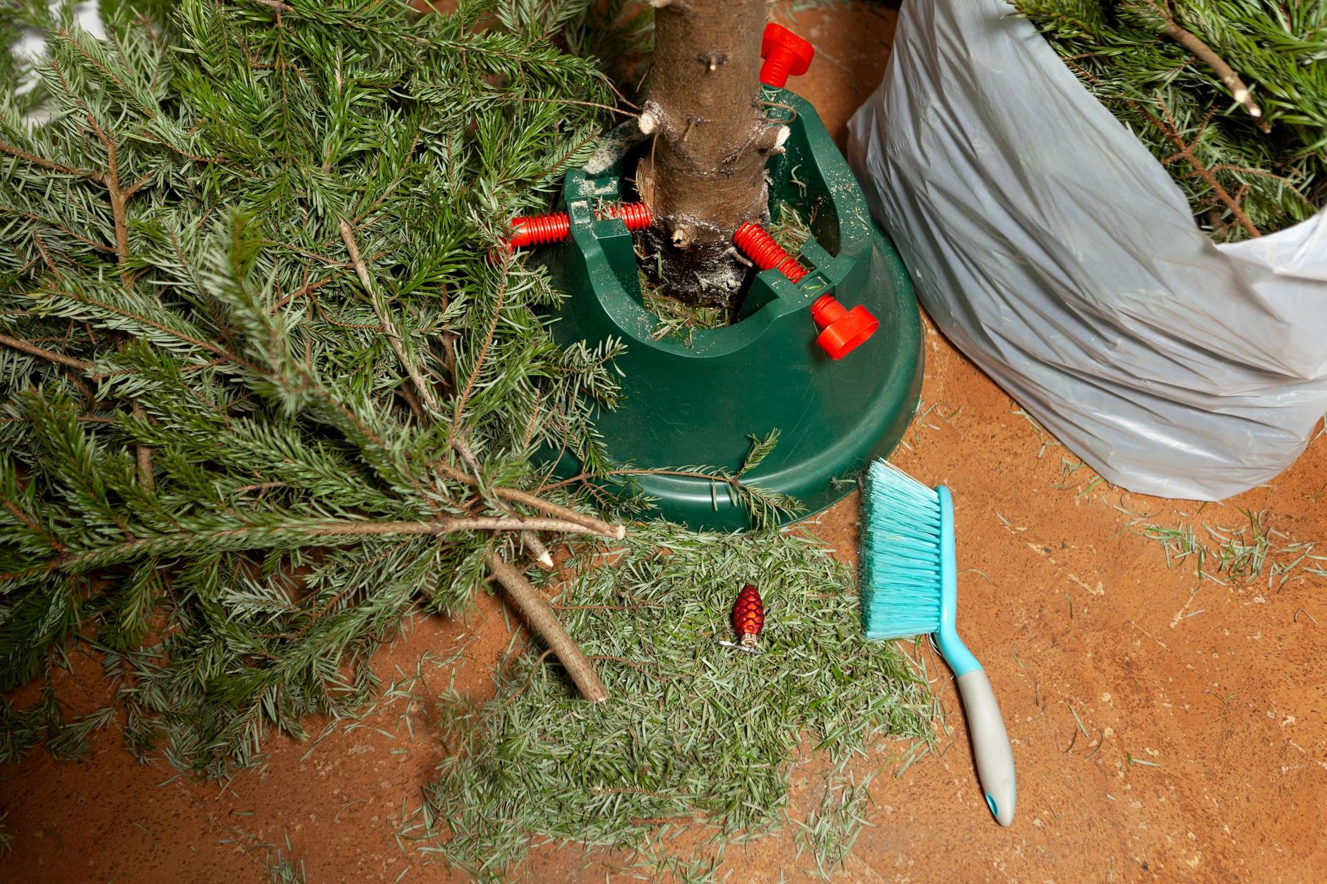 Christmas traditions When to take down the Christmas tree? If you do it too early, you will bring bad luck to the entire family