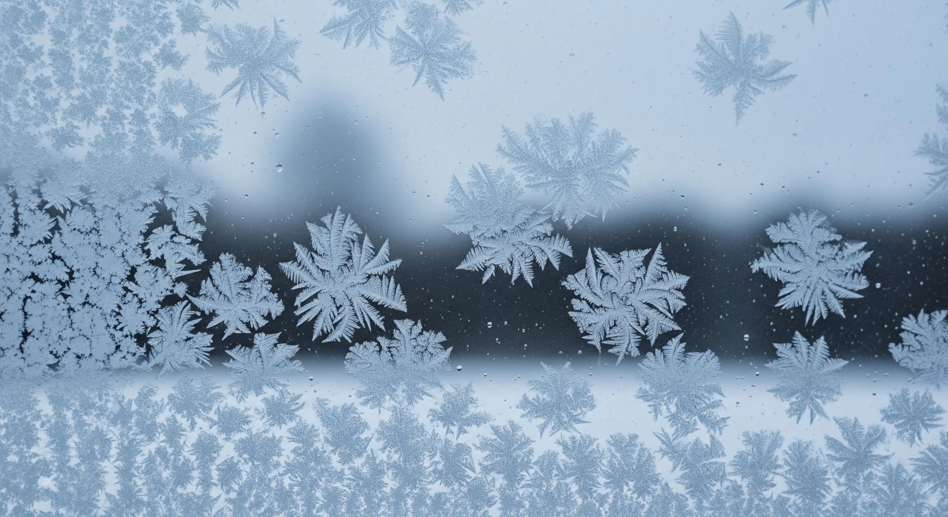 Weather forecasts The oldest highlanders do not remember such changes in the weather! There's a new forecast for Christmas. After all, winter of the century or rainy season? Weather for December 2025