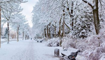 Weather Weather for New Year's Eve like in the Polish People's Republic? Are we going to have a repeat of the winter of the century? That's how it started