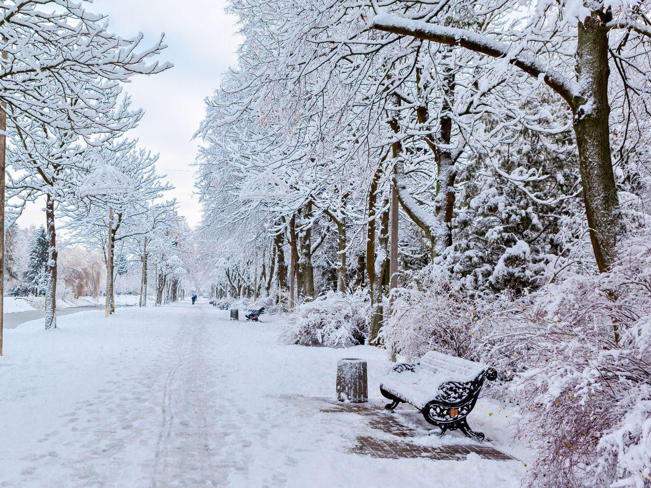Weather Weather for New Year's Eve like in the Polish People's Republic? Are we going to have a repeat of the winter of the century? That's how it started