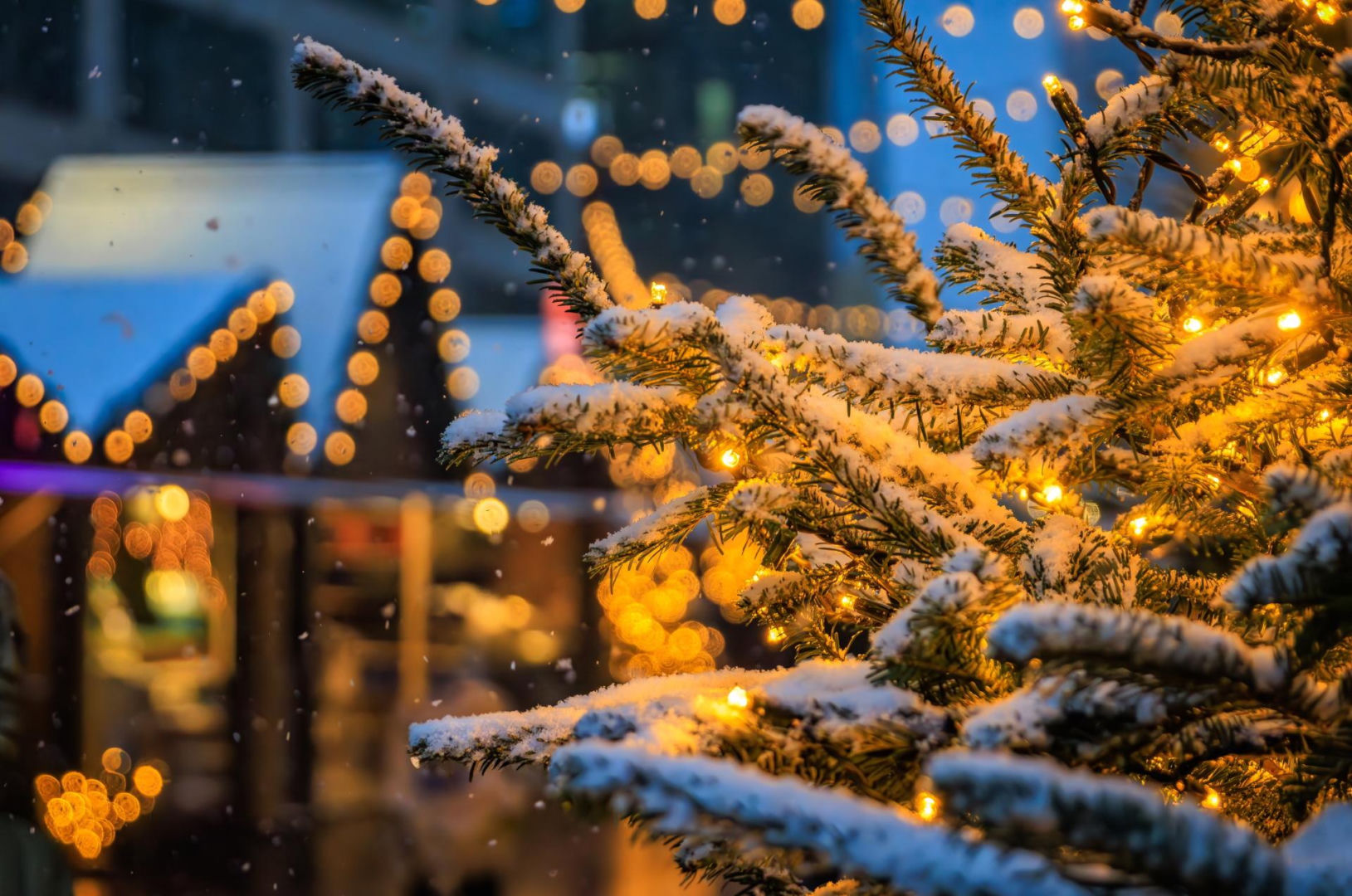 Holiday weather There hasn't been such weather on Christmas Eve 2025 for decades! It will start early in the morning. The latest forecast heralds holidays like in the Polish People's Republic