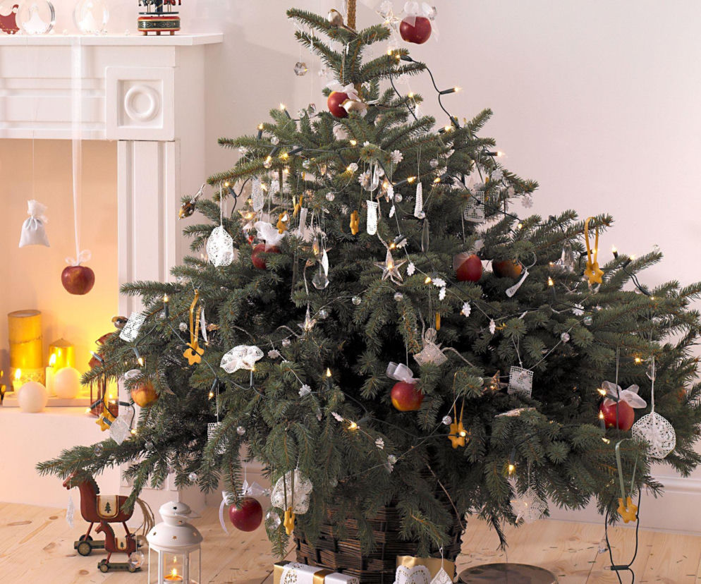 Świąteczne choinki w stylu rustykalnym