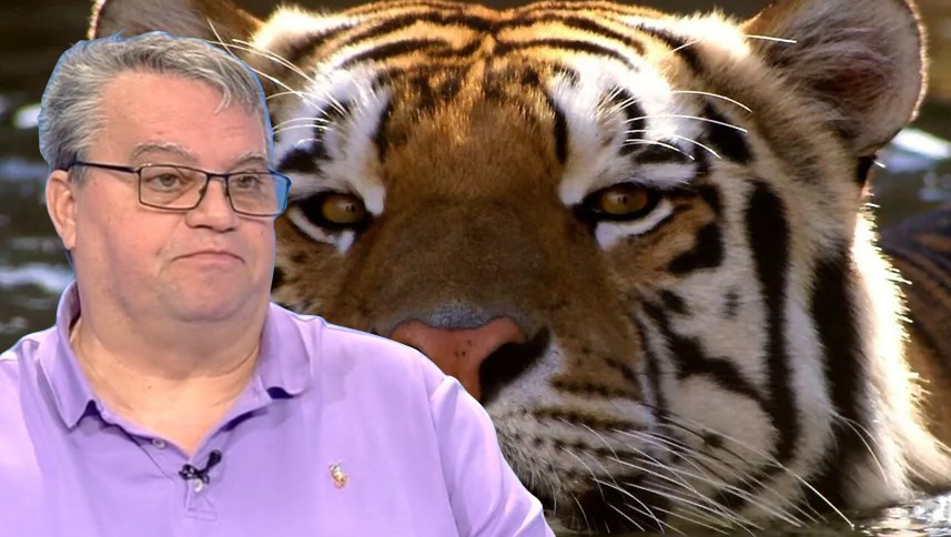 Chinese horoscope 2025-2026: Marian Golea announces changes, there is no "lunch" period, of abundance and balance between years