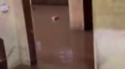 Resident records the situation of his own residence and neighborhood during flooding in Rio Branco; VIDEO